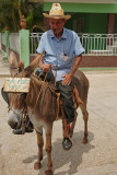 Donkey Rider.jpg