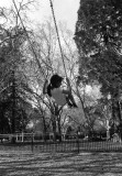 20110312_008_web.jpg