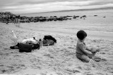 20110420_005_web.jpg