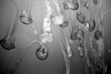 20110420_027_web.jpg