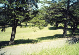 20110529_030_web.jpg