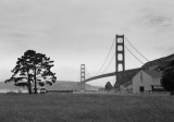 20110611_007_web.jpg