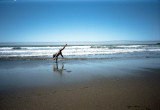 20110612_011_web.jpg