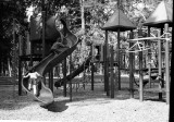 2012_01_15029_web.jpg