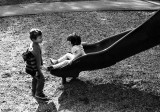 2012_01_15034_web.jpg