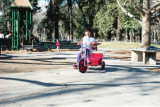 2012_02_01031_web.jpg
