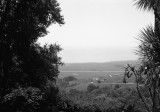20120407_Scan047_web.jpg