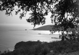 20120407_Scan059_web.jpg
