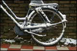 winter bike 1