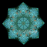 * Blue Spruce 2 -- Northwoods Kaleidoscope