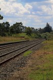 Railway lines, Te Kauwhata.