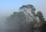 Weiti River, Whangaparaoa.