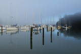 Weiti River, Whangaparaoa.