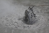 Mud Pools -   Wai - o -Tapu