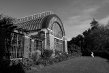 Glass house @ the Wintergarden - Auckland.