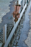 Foothpath reflections