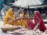 Jaislamer , India , 1995