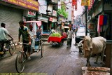 Main Bazar ,New Delhi , India , 2005