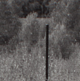 test_photo