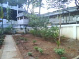 22 View of Thottam.jpg