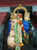 Azhagan Annavahanam.JPG