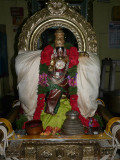 Navaneeta Krishnan ready for Rohini Purappadu.JPG