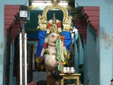 Perumal Hamsavahana Purappadu.JPG