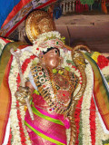 Kumbakonam Ramaswamy - Ramanavami Utsavam Purappadu 7.jpg