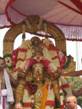 Garuda sevai11.jpg