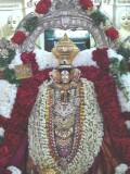 Mamunigal before Evening Purappadu.jpg