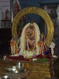 Perumal Kovil Sri Perarulaalan Thiru Pavithra Uthsavam