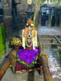 25_2011_Srivilliputtur_Thiruvaadipuram_Day09_AandaalReadyToLeaveForNandavanamForSaattrumurai.jpg