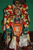 Hanumantha Vahanam.JPG