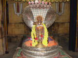 SowmyopayanthruMuni.JPG