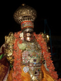 Sri  Yathokthakari Swamy Simha Vahanam -  1st day Evening