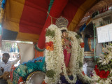 DSC01556.JPG