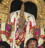 Perumal During Purappadu.JPG