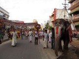 Perumal Kovil Brahmothsavam - Sri Perarulalan @ Aal Mel Pallakku