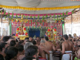 IMG_2319.jpg