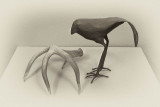 Zen Bird