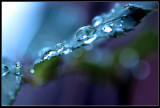 blue rain