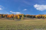 CRW_0772.jpg