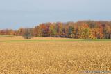 CRW_0802.jpg