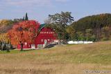 Red Barn