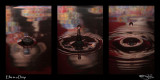 51<br>Water Color XX