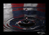 54<br>Water Color XXIII