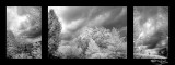 101<br>Dangerous Mood