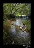 Turner Creek Dam