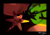 340<br>Colors of Christmas IV