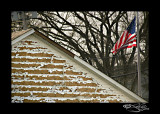 After the Storm II